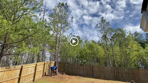 Log and Leaf Tree Service