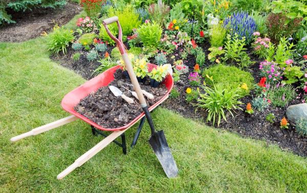 McLean Landscapes