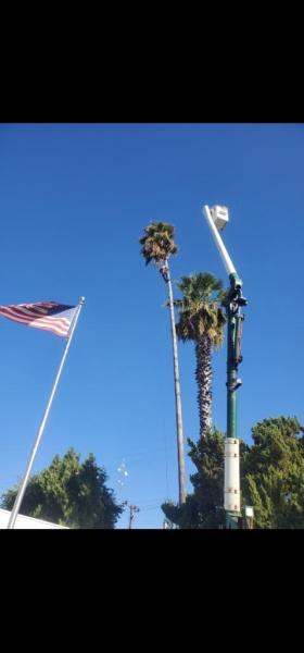 Felix Tree Service Inc
