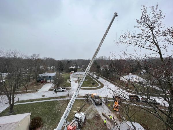 McNeill & Sons Tree Service