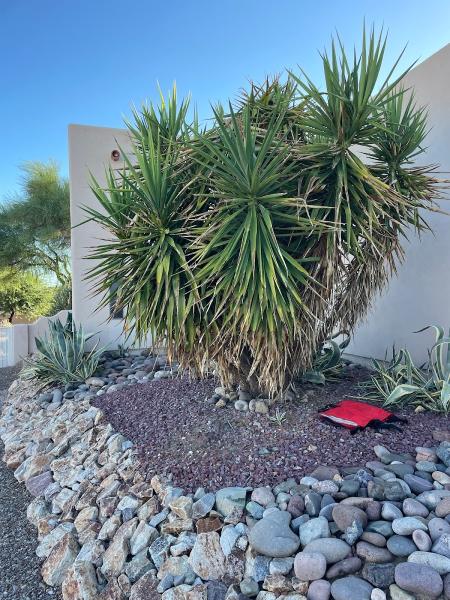 JMB Contracting Tucson Llc.