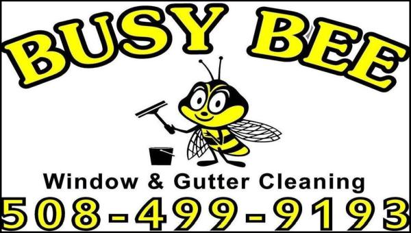 Busy Bee Window & Gutter Cleaning
