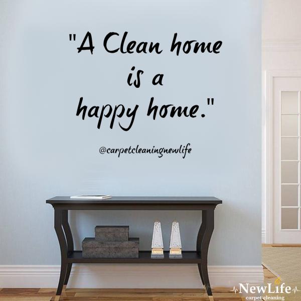 Ashlies Cleaning Gig