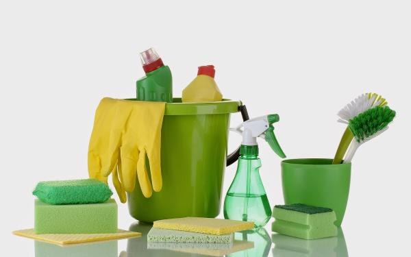 Healthy Homes Housekeeping
