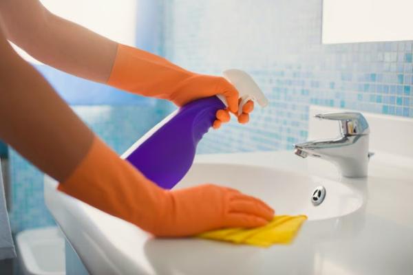 Healthy Homes Housekeeping