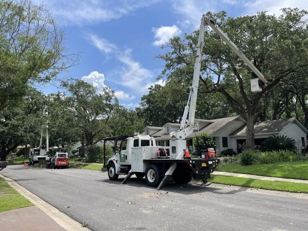 Danny McClain's Tree Care