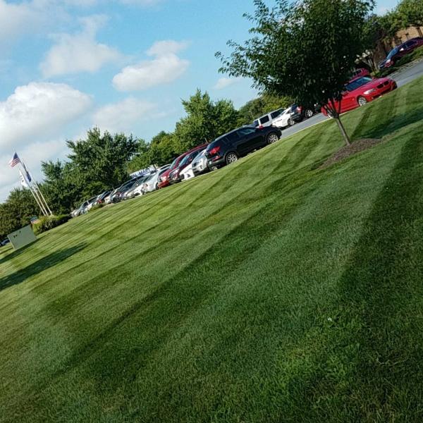 Sanci's Landscaping