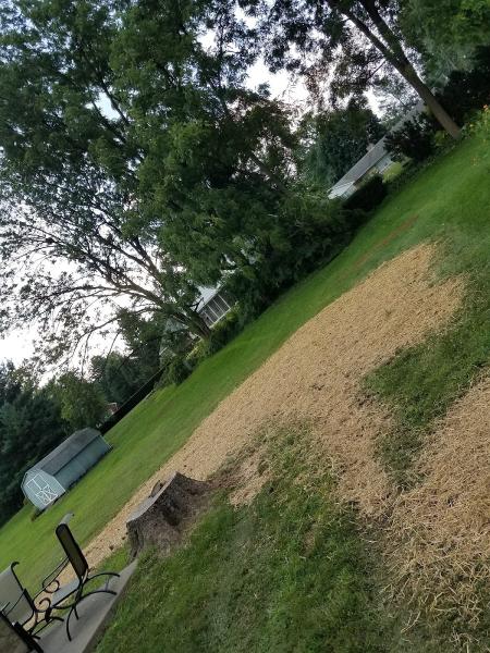 Sanci's Landscaping
