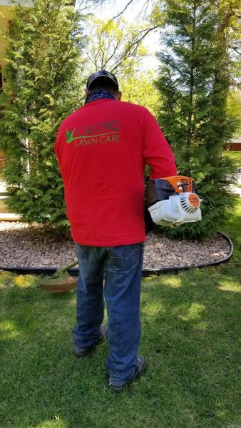 Castro Lawn Care