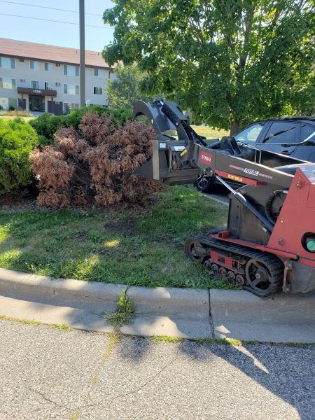 Castro Lawn Care