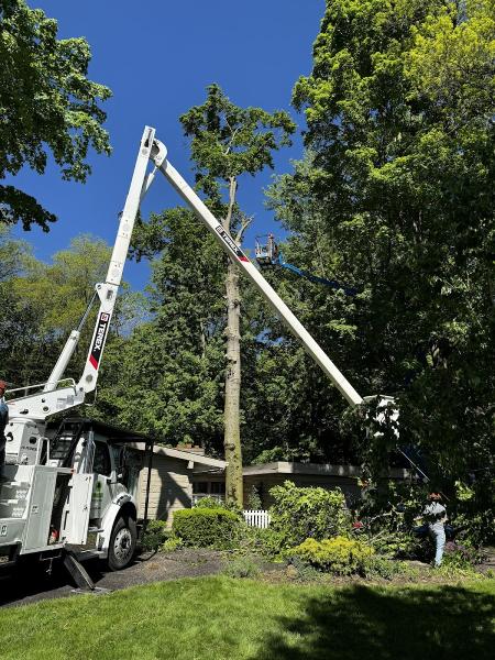 Hoosier Tree Service
