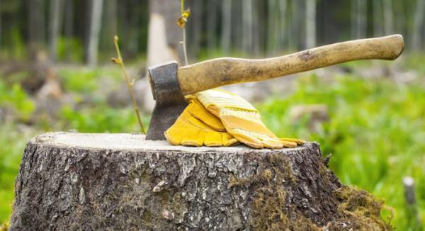 Hoosier Tree Service