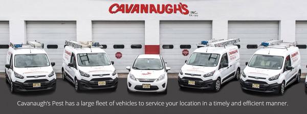 Cavanaugh's Termite & Pest Services