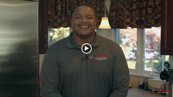 Cavanaugh's Termite & Pest Services