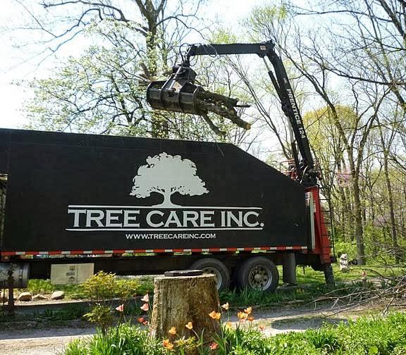 Tree Care
