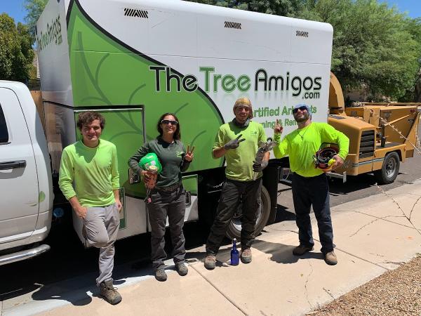 The Tree Amigos