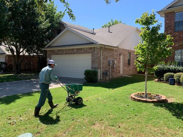 Gecko Green Lawn Care & Pest Control