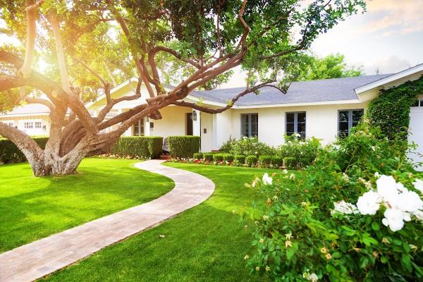 Gecko Green Lawn Care & Pest Control