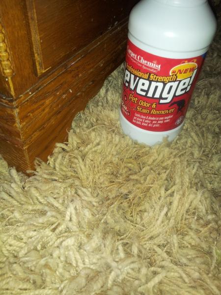 Carpet Chemist