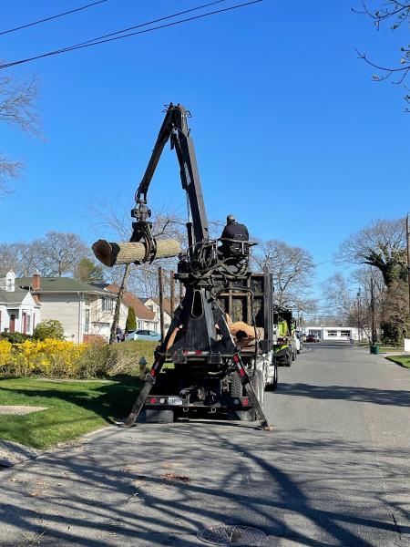 Ramalho Tree Service