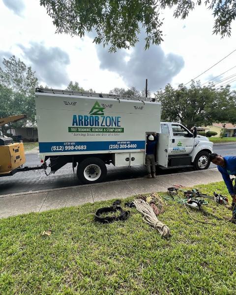 Arborzone Tree Service