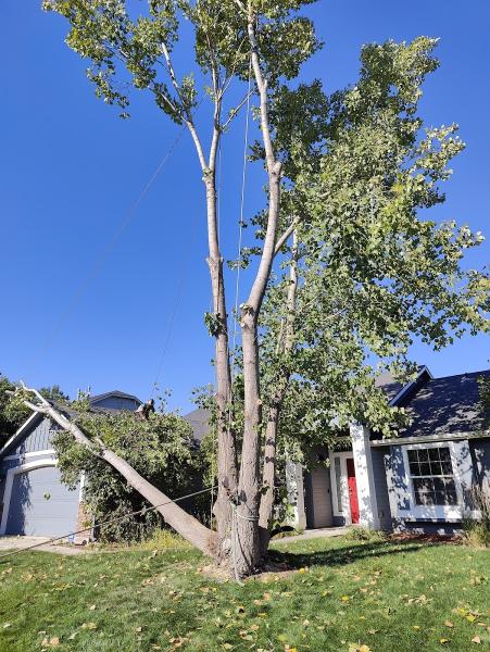 Double J Tree Service LLC