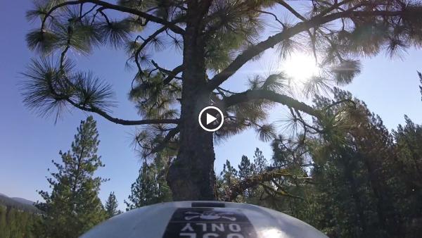 Double J Tree Service LLC