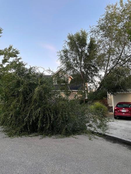Double J Tree Service LLC