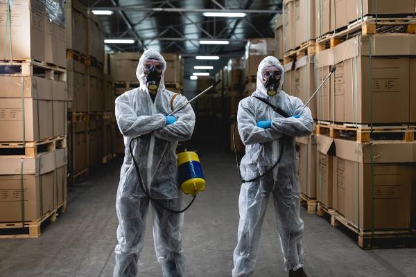 Pest Busters USA