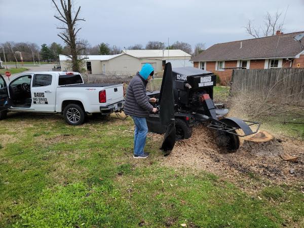 Davis Tree Service