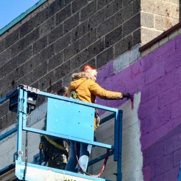 House Painter Inc.