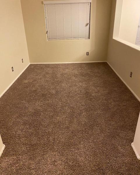 RU Clean LLC Steam Carpet Cleaning