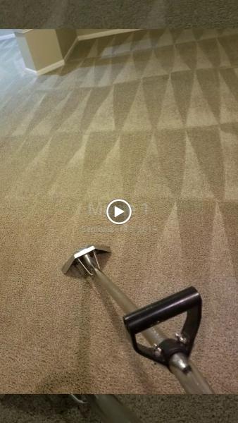 Special Carpet Cleaning