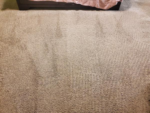 Special Carpet Cleaning