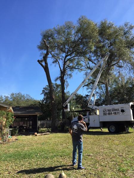 Aj's Tree Service