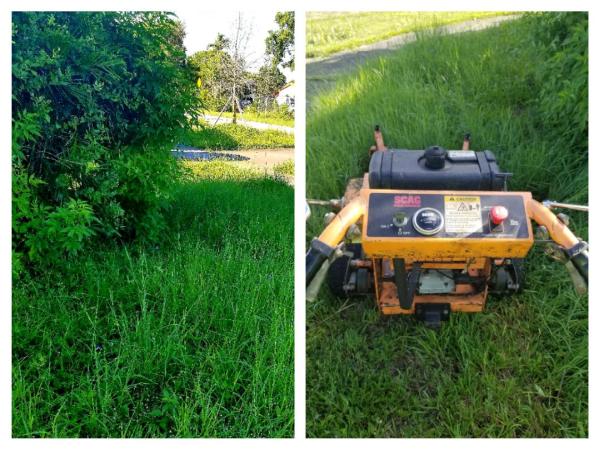 Branch Lawn Care Inc.