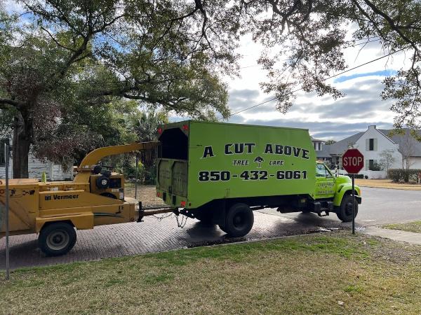 A Cut Above Tree Care