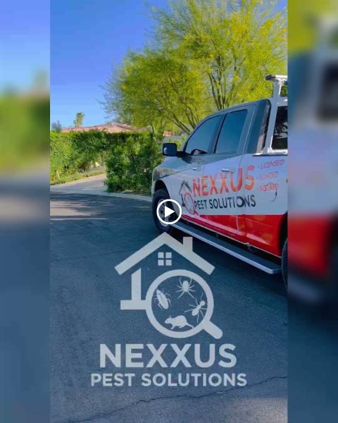 Nexxus Termite & Pest Solutions