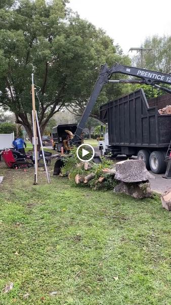 Gulf Coast Trees Inc.