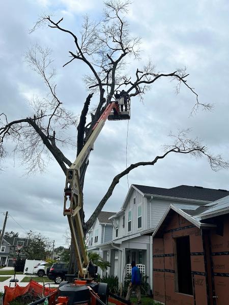 Gulf Coast Trees Inc.
