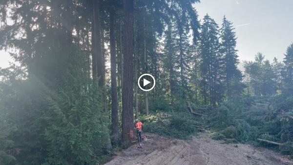 Sky High Tree Removal