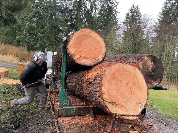 Sky High Tree Removal