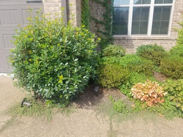 Vision Landscapes & Design LLC