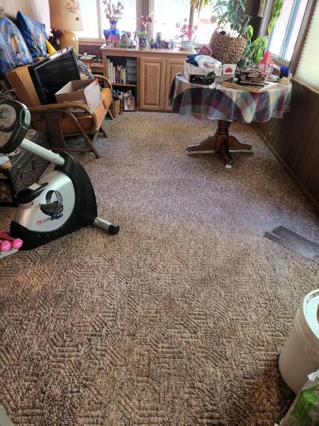 Carpet Pro