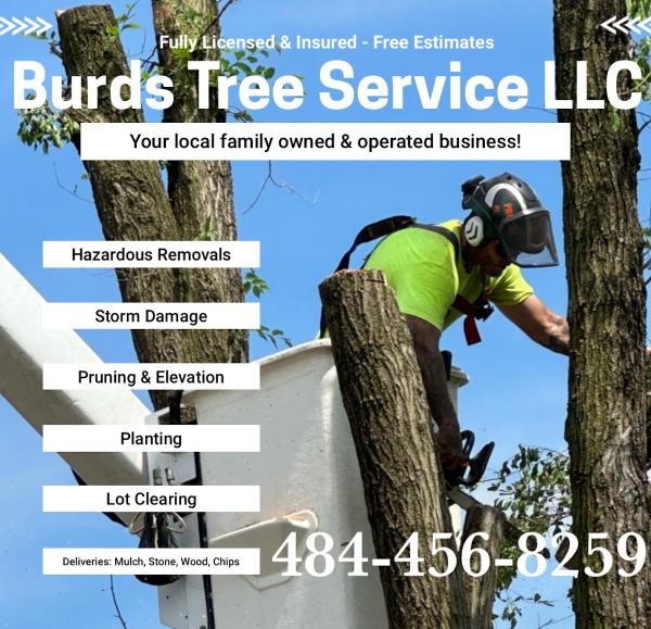 Burds Tree Service LLC