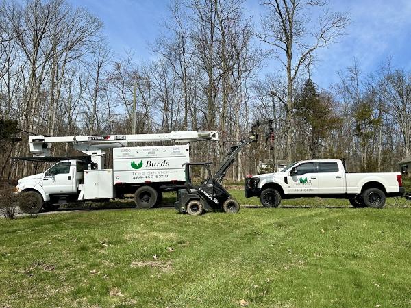 Burds Tree Service LLC