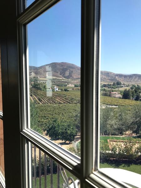 Once A Season Fine Window Service