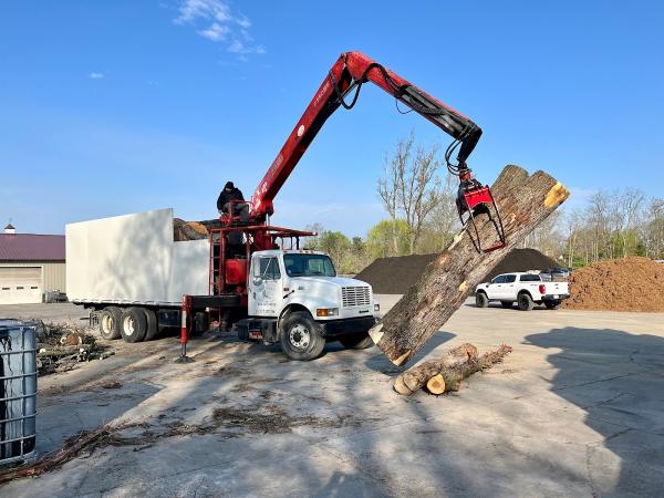 Belgian Tree Service LLC