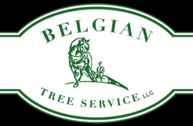 Belgian Tree Service LLC
