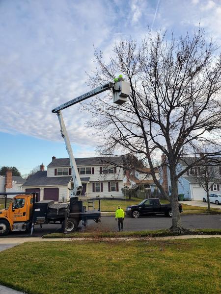 Hyperion Tree Service